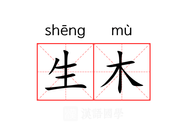 生木 生木