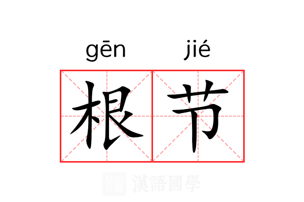 根节 根节
