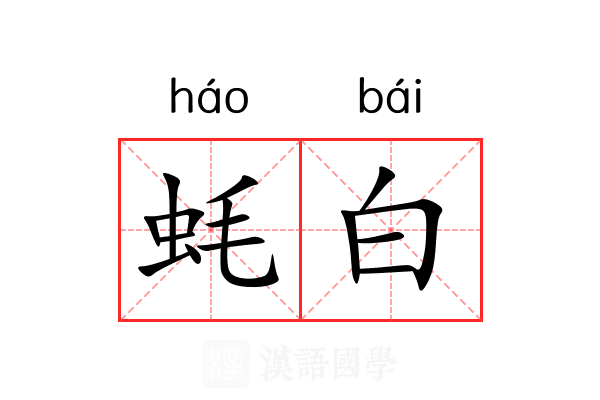 蚝白 蚝白