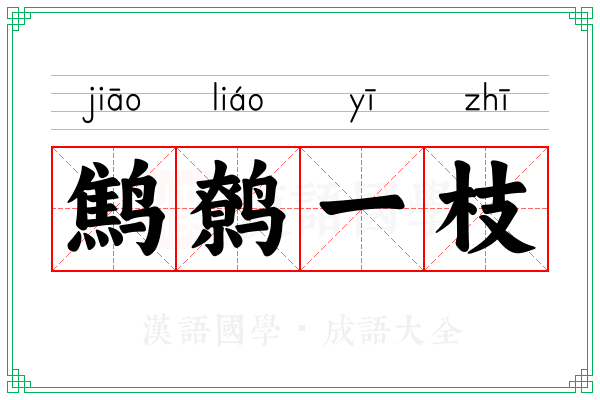 鹪鹩一枝 鹪鹩一枝