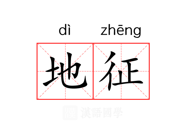 地征 地征