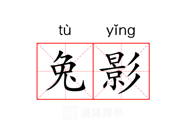 兔影 兔影