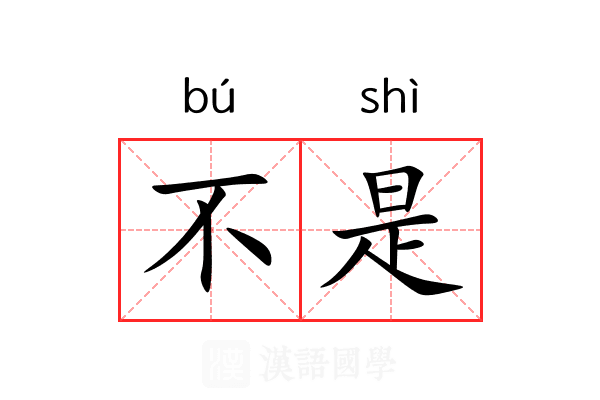 不是 不是