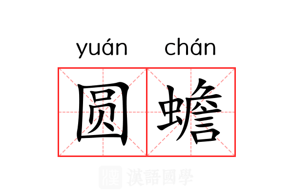 圆蟾 圆蟾