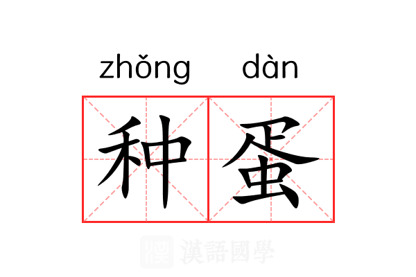 种蛋