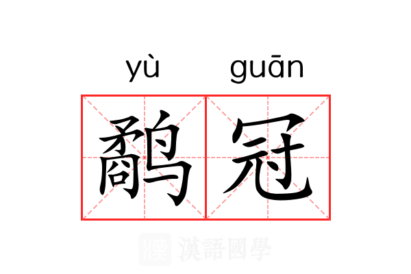 鹬冠