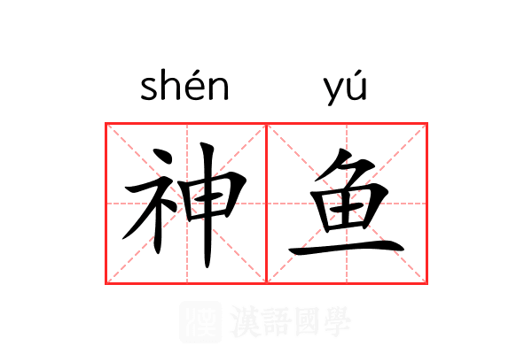 神鱼 神鱼