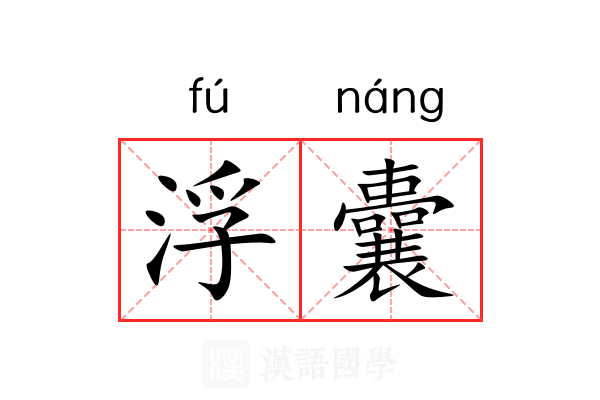 浮囊 浮囊