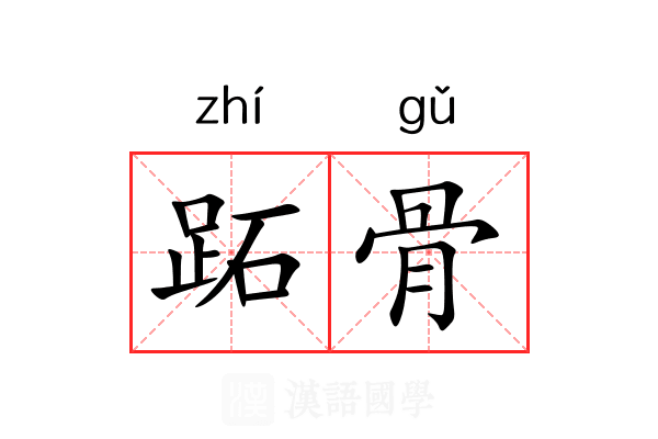 跖骨 跖骨