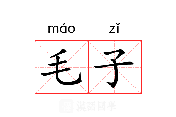 毛子
