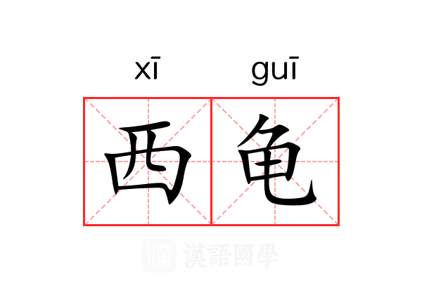 西龟 西龟