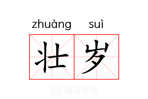 壮岁