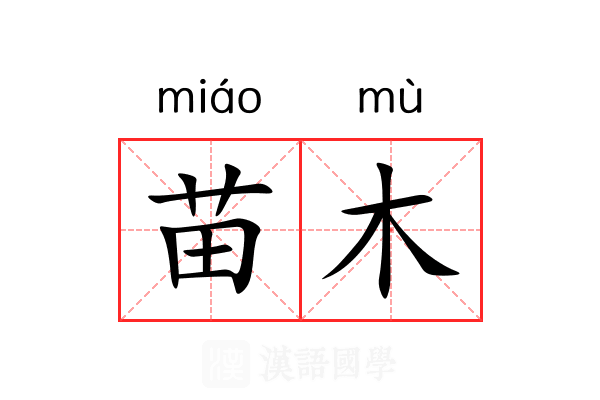 苗木 苗木
