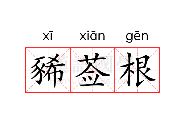 豨莶根
