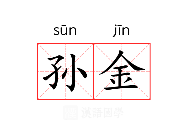 孙金 孙金