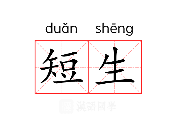 短生 短生