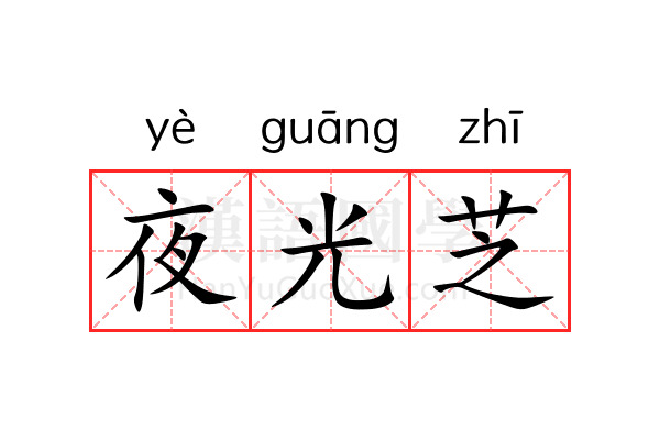 夜光芝 夜光芝