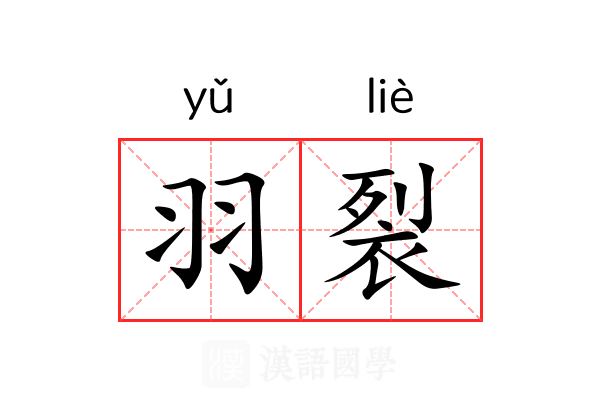 羽裂