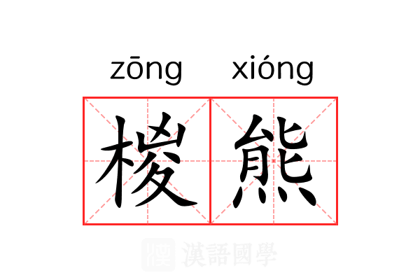 椶熊