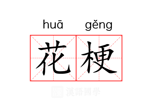 花梗 花梗