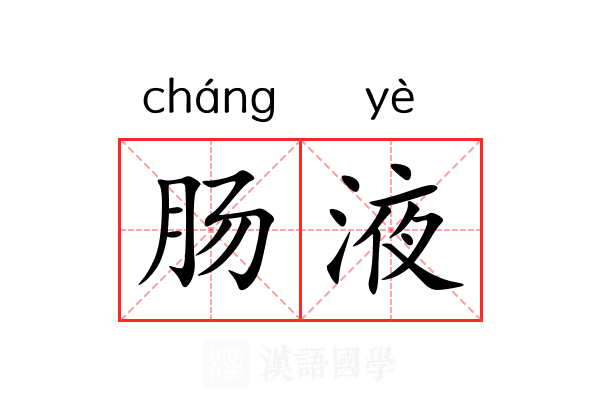肠液