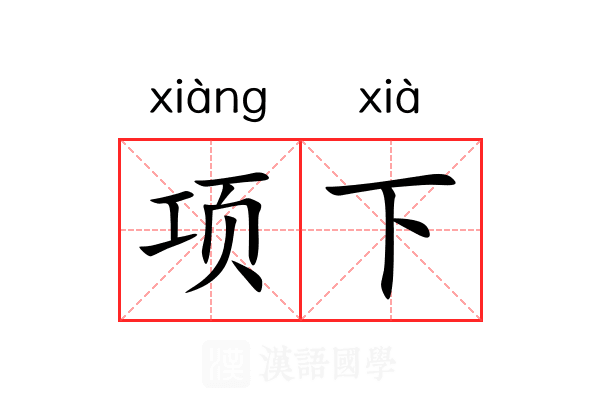 项下