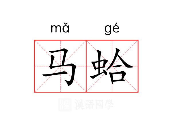 马蛤