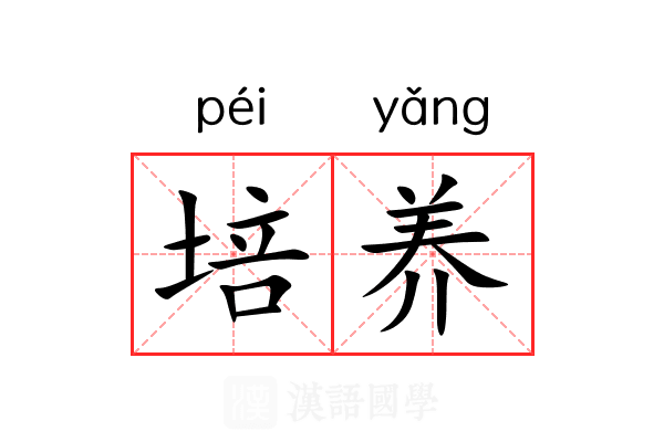 培养