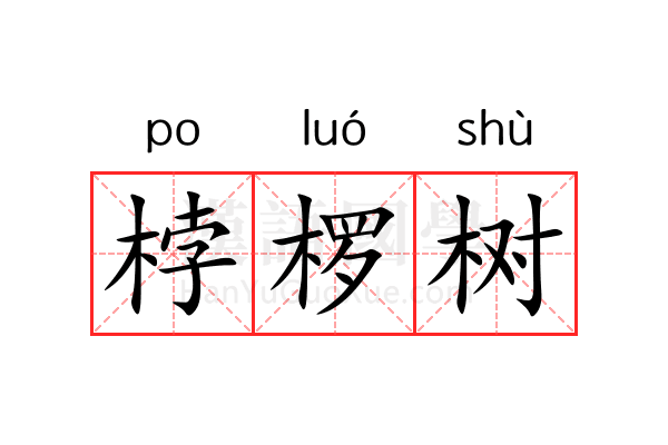 桲椤树