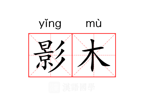 影木 影木