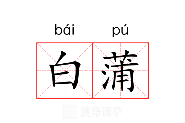 白蒲 白蒲