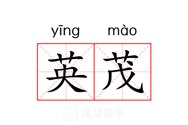 英茂 英茂
