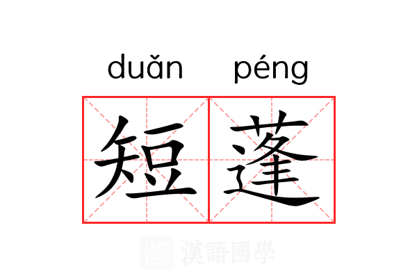 短蓬
