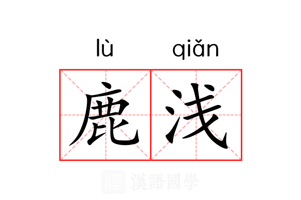 鹿浅