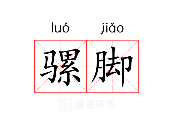 骡脚 骡脚