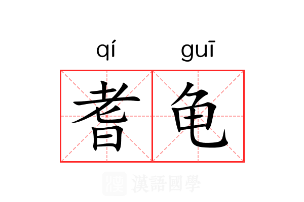 耆龟