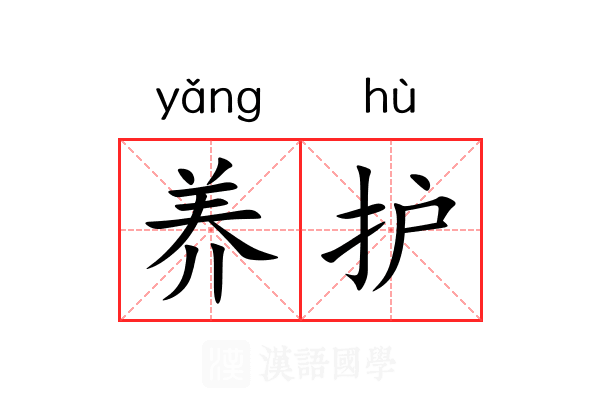 养护