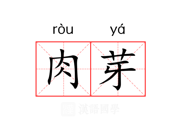 肉芽 肉芽