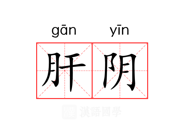 肝阴