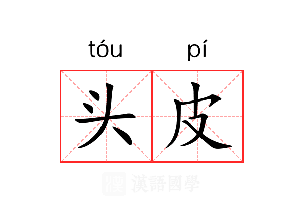 头皮 头皮