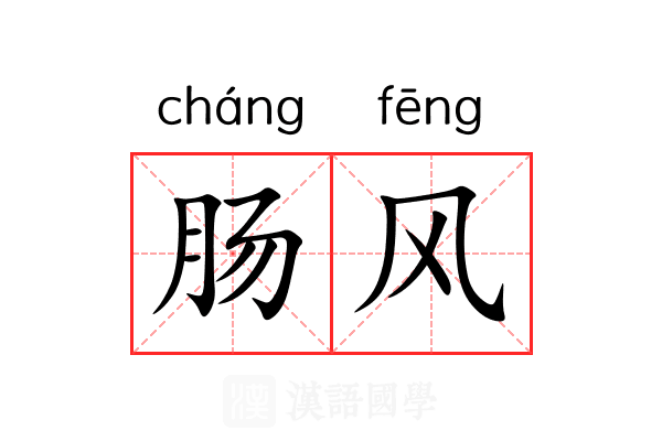肠风 肠风
