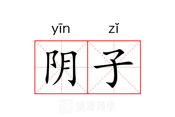阴子 阴子