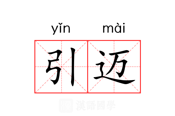 引迈 引迈