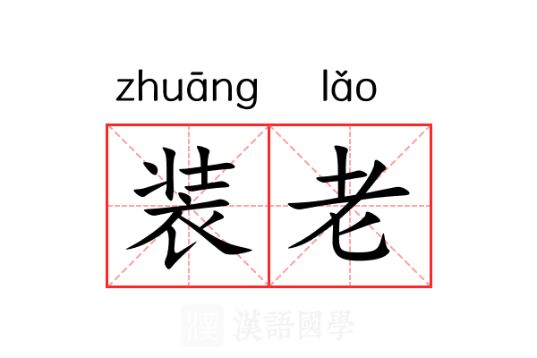 装老 装老