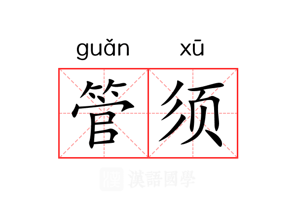 管须 管须