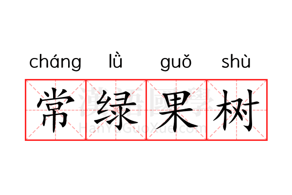 常绿果树 常绿果树