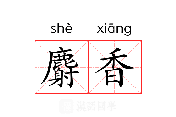 麝香