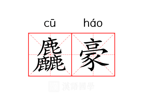 麤豪
