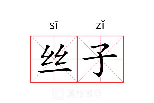 丝子 丝子