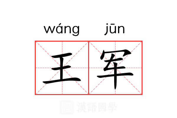 王军 王军